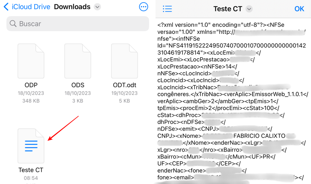 O próprio aplicativo Arquivos do iOS é capaz de abrir arquivos XML (Imagem: Captura de tela/Fabrício Calixto/Canaltech)