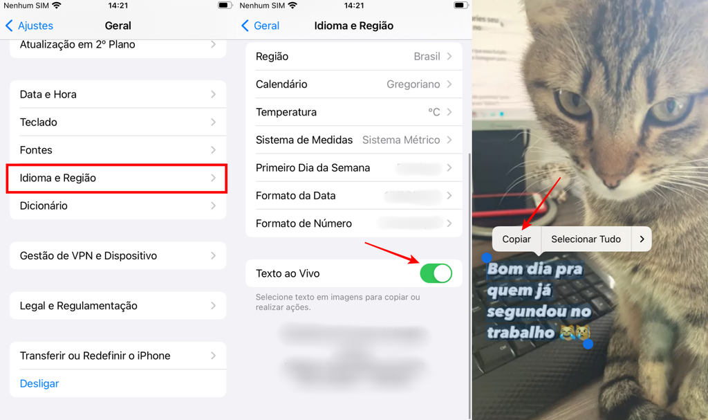 A função nativa do iOS Texto ao Vivo permite copiar palavras de imagens no iPhone (Imagem: Captura de tela/Fabrício Calixto/Canaltech)