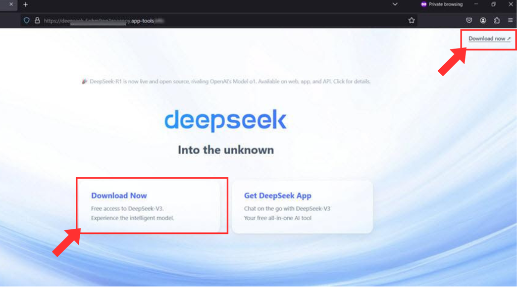 captura de tela do site falso do DeepSeek apontando as diferenças para o site original