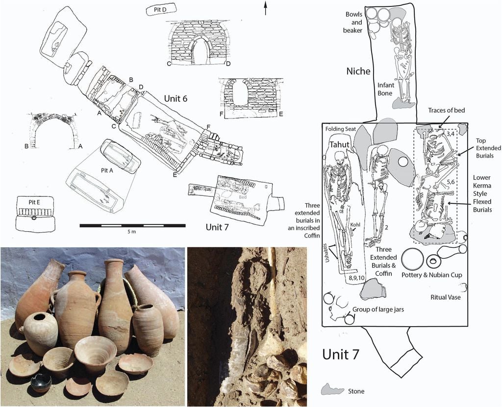 Alguns dos restos encontrados nas pirâmides de Tombos, incluindo ushabits, os protetores do além-vida (ISchrader et al./Journal of Anthropological Archaeology)mage