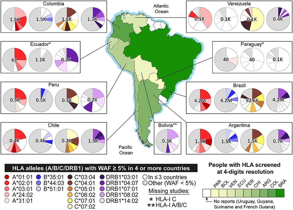 Pesquisa investigou genes de brasileiros que podem identificar melhor o vírus da COVID-19 (Imagem: Reprodução/ FMVZ/ USP)
