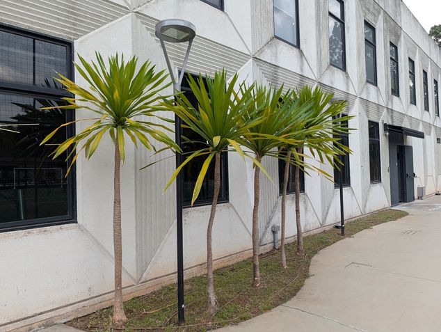 Google Pixel 10 Pro - Câmera principal