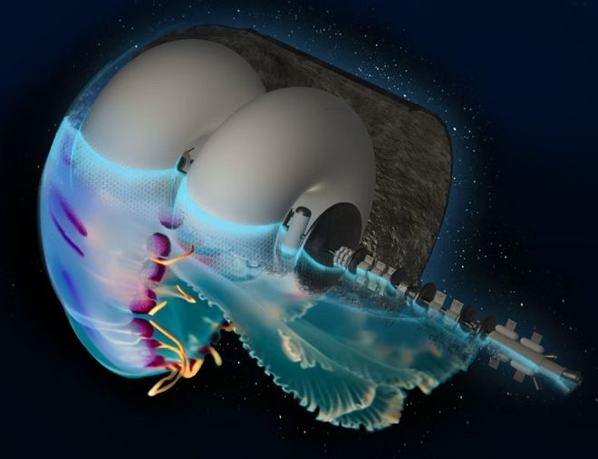 System Stellare Proximum