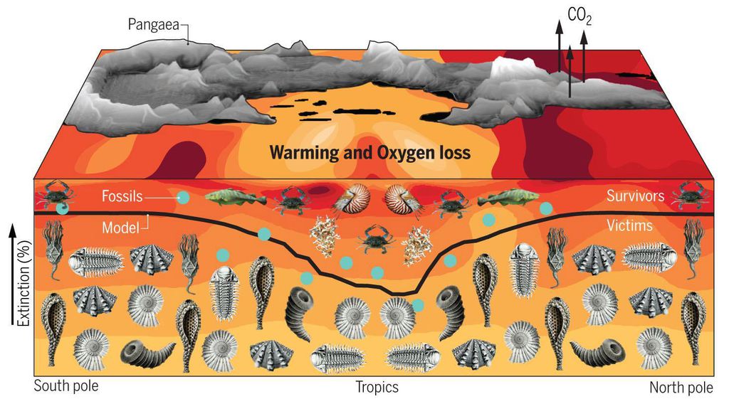 À medida que vulcões lançavam gases de efeito estufa na atmosfera, os oceanos foram aquecidos ao ponto de não conseguirem conter o oxigênio essencial à vida (Imagem: Reprodução/Universidade de Washington) 
