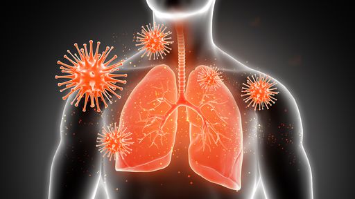 App Marie da USP diagnostica COVID-19 a partir de radiografia do pulmão