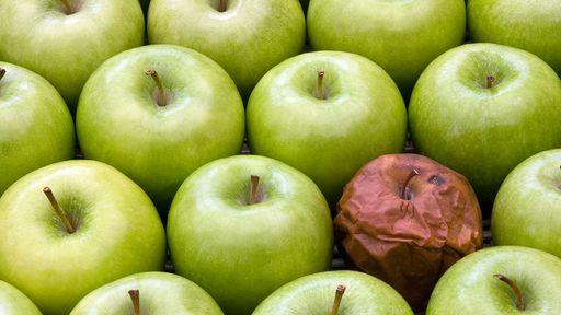 E-mails vazados da Apple revelam ambiente de trabalho sexista e tóxico