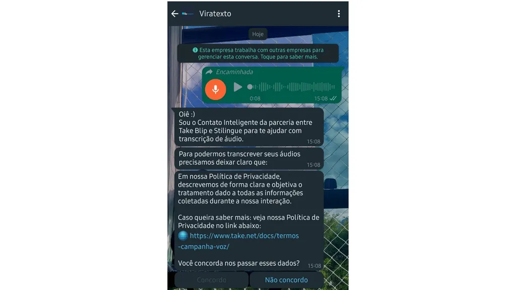 Ao entrar em contato com o Viratexto pela primeira vez, o usuário precisa ler e concordar com a Política de Privacidade do bot (Imagem: Igor Almenara/Canaltech)