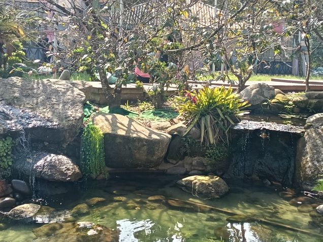 Fotos tiradas com o Oppo A5 Pro