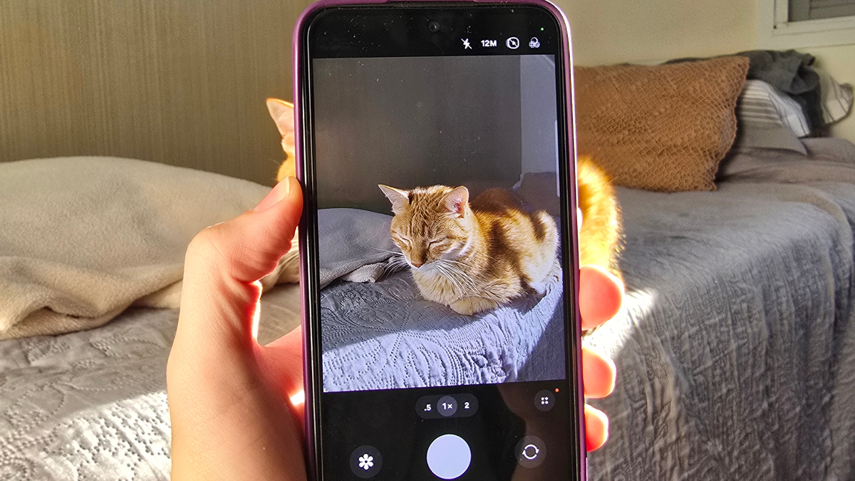 Nova IA da Samsung vai mudar como cuidar do seu pet