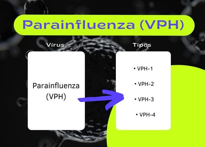 O vírus da parainfluenza se divide em 4 tipos (Imagem: Fidel Forato/Canaltech)