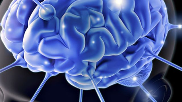 O cérebro não é computável, diz neurocientista