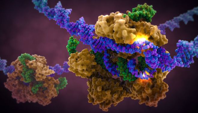 Humanos 2.0 | Uma revolução na engenharia genética está prestes a acontecer