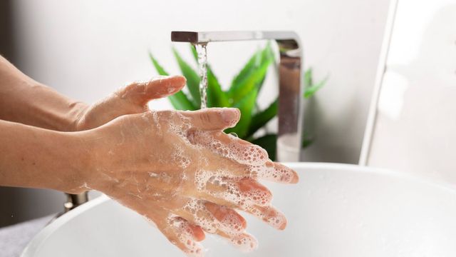 Reprodução/Freepik