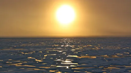Derretimento do Ártico libera substâncias e doenças nocivas ao meio ambiente