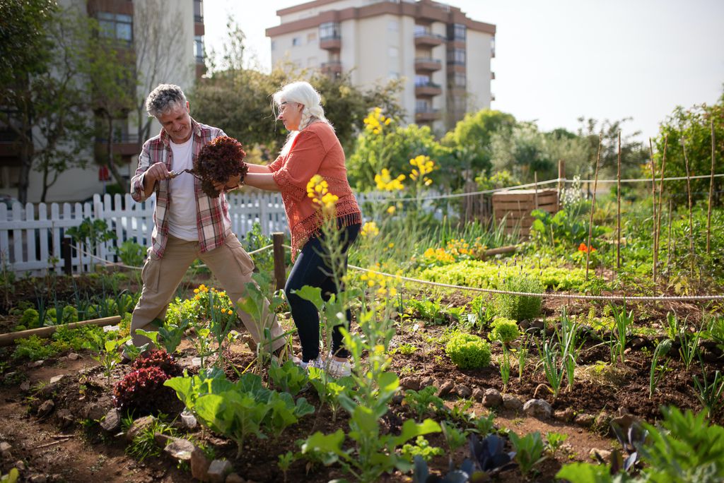 Um espaço público sem utilização, pode ser transformado em uma horta comunitária para cultivo de produtos orgânicos (Imagem: Reprodução/Kampus Production/pexels)