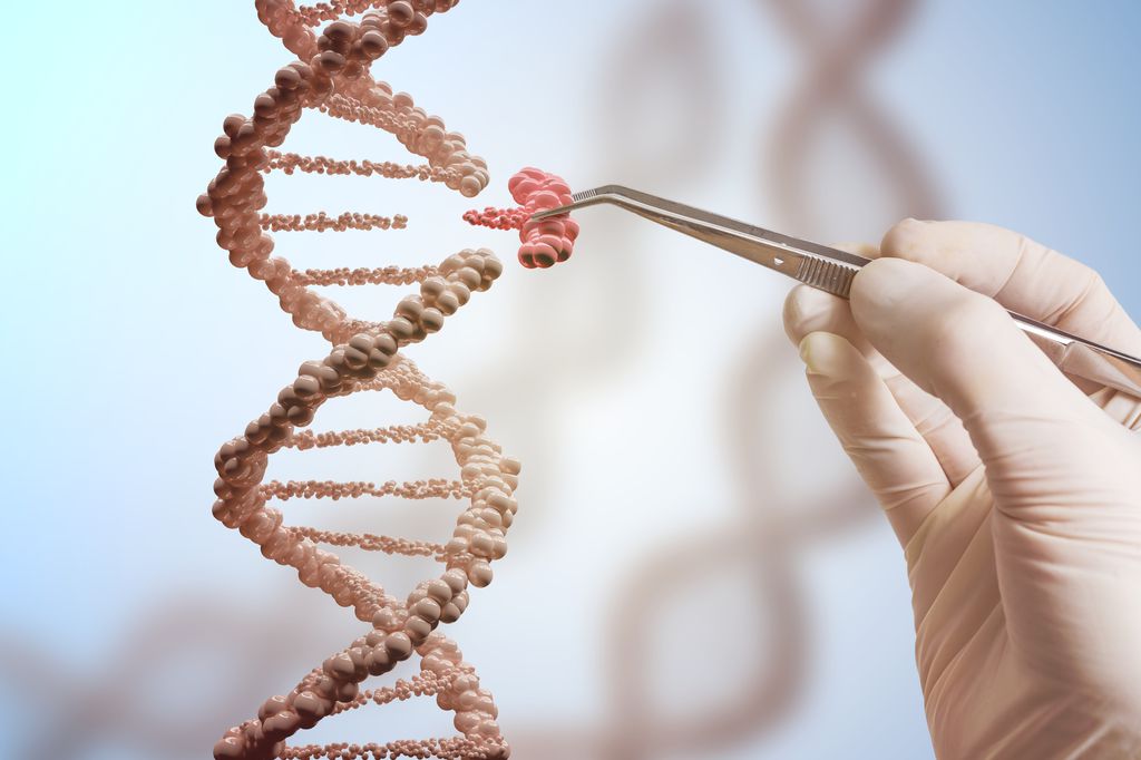 Experimento para edição genética com embriões mostra que o CRISPR pode não ser a ferramenta ideal (Imagem: reprodução/ Getty Images) 