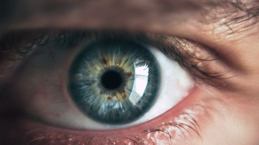 Nossas retinas são tão complexas que superam a engenharia, mostra estudo