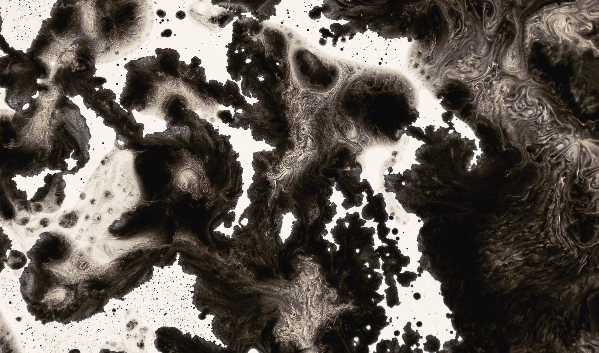 Mucormicose, a doença causada pelo fungo negro, é agressiva e acende alerta para pacientes com COVID (imagem: Alex Gruber/Unsplash)