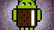 Há uma homenagem ao Nyan Cat dentro da nova versão do Android no Galaxy S II