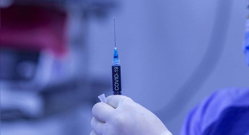 Farmacêutica norte-americana Pfizer envia dados de testes de vacina contra COVID-19, BNT162b2, à Anvisa (Imagem: fernando zhiminaicela / Pixabay)