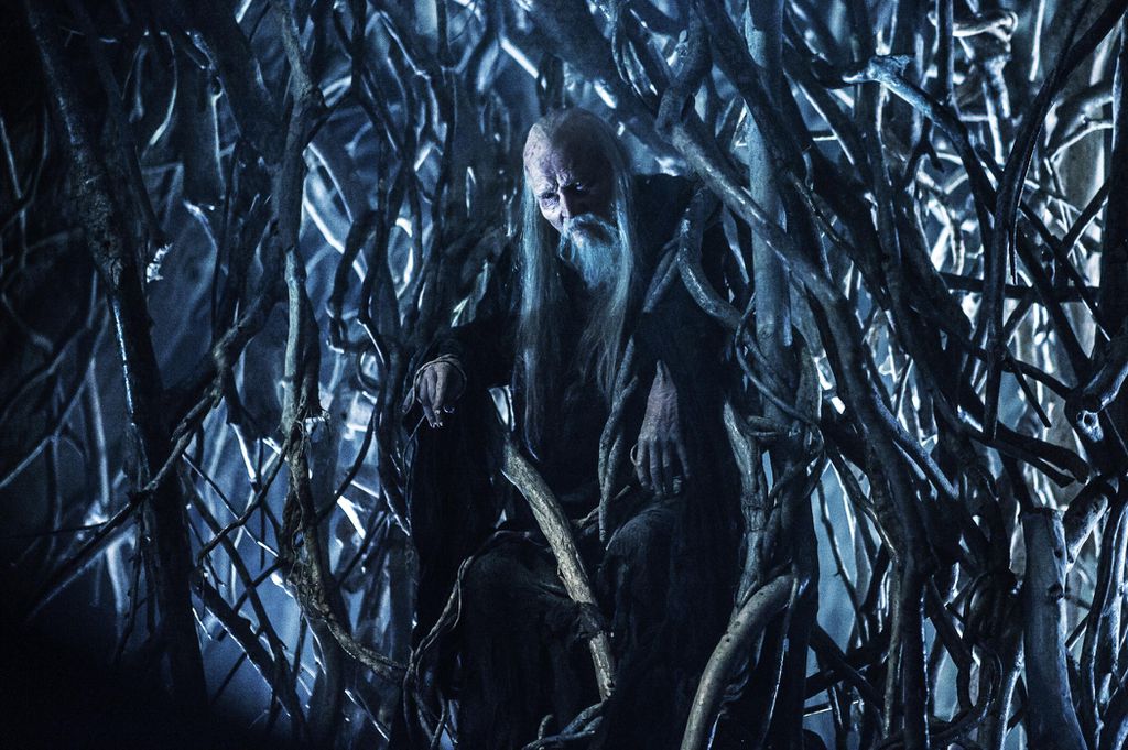 O Corvo de Três Olhos, que treina Bran a suar seus poderes (Imagem: HBO)