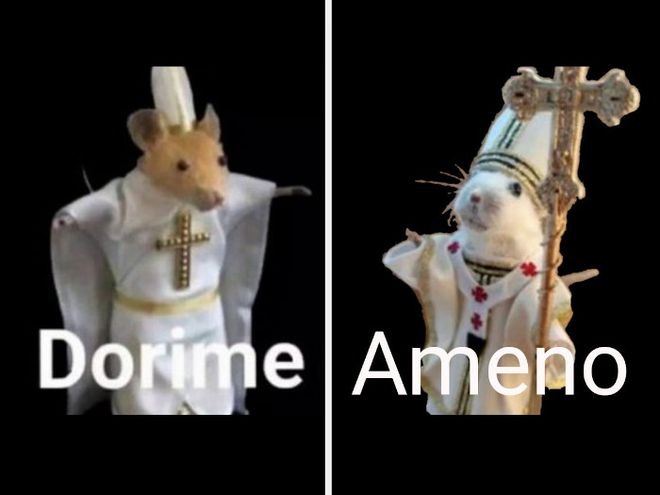 O meme dos ratos Dorime e Ameno ganhou a internet / Imagem: Reprodução