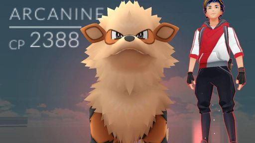 Como funciona o sistema de Pokémon Buddy em Pokémon GO