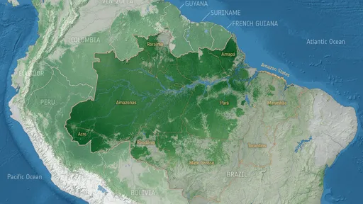 Degradação florestal é a principal vilã na perda de carbono da Amazônia, diz ESA
