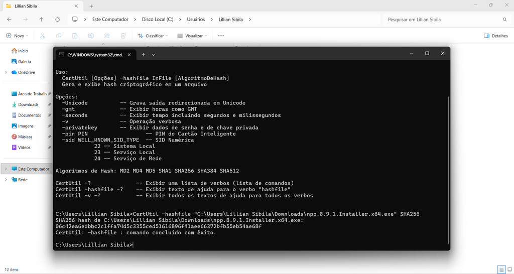 Uma última maneira de verificar é comparar a assinatura com a fornecida pelo fabricante no site oficial (Imagem: Captura de Tela/Lillian Sibila/Canaltech)