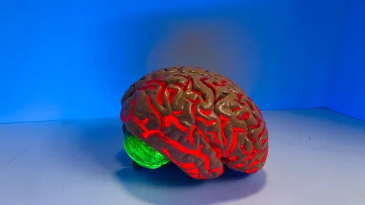 Sem cirurgia: cientistas descobrem como controlar o cérebro usando feixes de luz