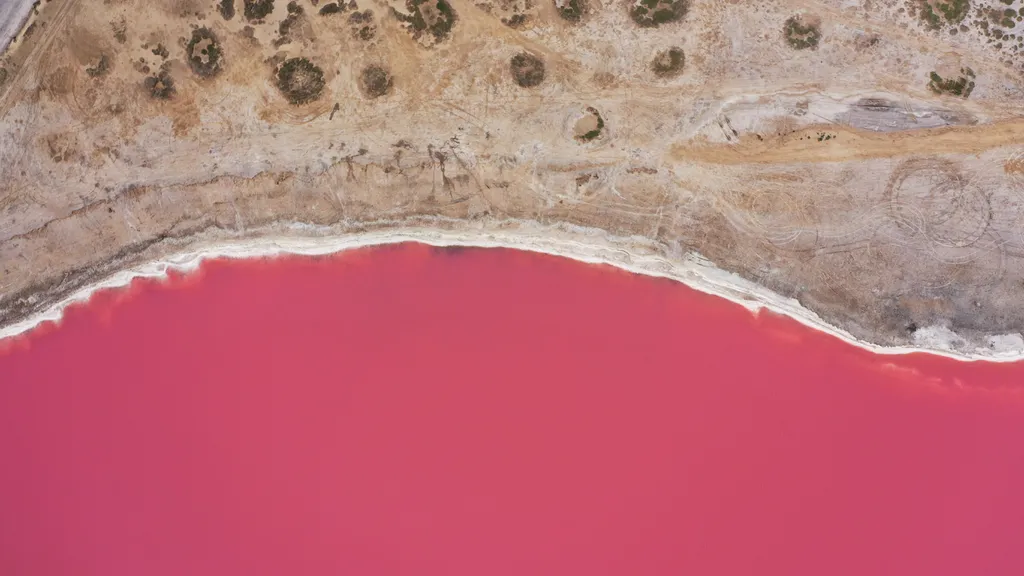 Exame de DNA ajudou a saber o que tornou lago da Austrália rosa (Imagem: andriymedvediuk/envato)