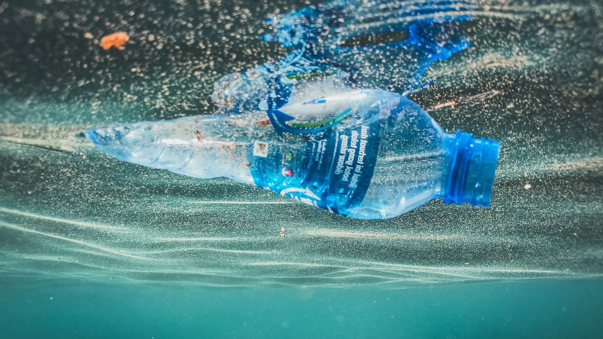 Dia Mundial do Meio Ambiente 2025 | ONU destaca urgência no combate ao plástico