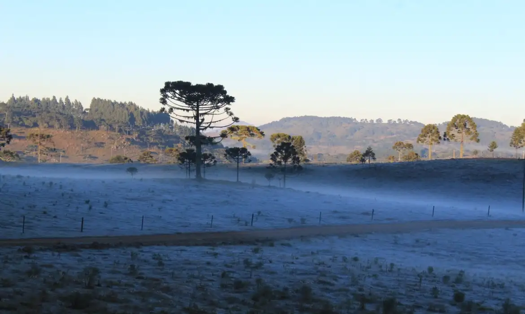geada em área arborizada
