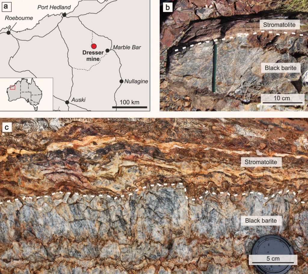 Localização da mina de Dresser e a rocha de barita, que indica associação próxima a estromatólitos (Imagem: Reprodução/Mißbach et al)