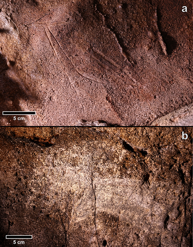 No topo, a representação trilinear de uma corça (fêmea de veado-vermelho) do Mediterrâneo; abaixo, duas cabeças de cavalo criadas através de raspagem (Imagem: Ruiz-Redondo et al./Antiquity)