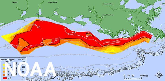 A zona morte — como é chamada a região com redução de oxigênio — com mais de 22 mil km quadrados no Golfo do México em 2017 (Imagem: Reprodução/NOAA/N. Rabalais/LSU/LUMCON)