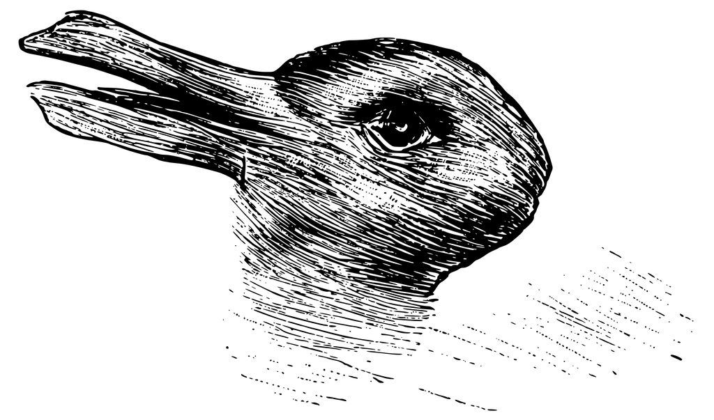 "Ave ou coelho" é uma ilusão de ótica mais antiga do que podemos imaginar (Foto: Blog Dan Quintana)