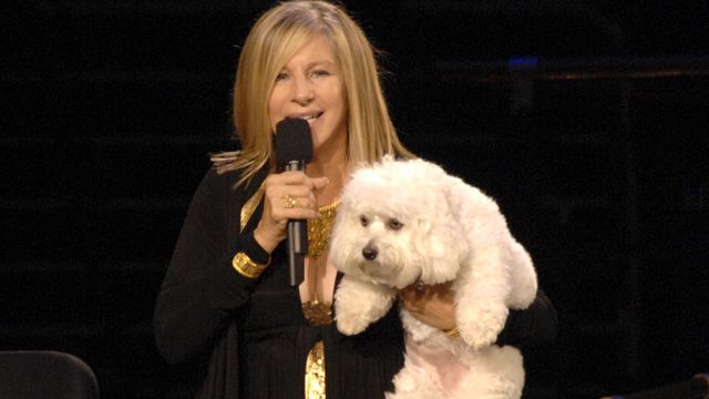 Barbra Streisand clonou sua cadela e você também pode fazer o mesmo