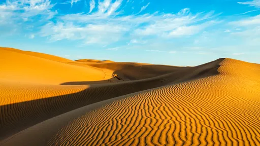 Como se formam as dunas e as praias? Conheça as formações arenosas!