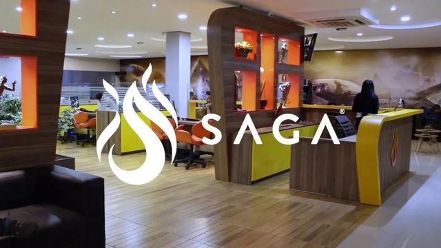 SAGA - School of Arts, Games and Animations