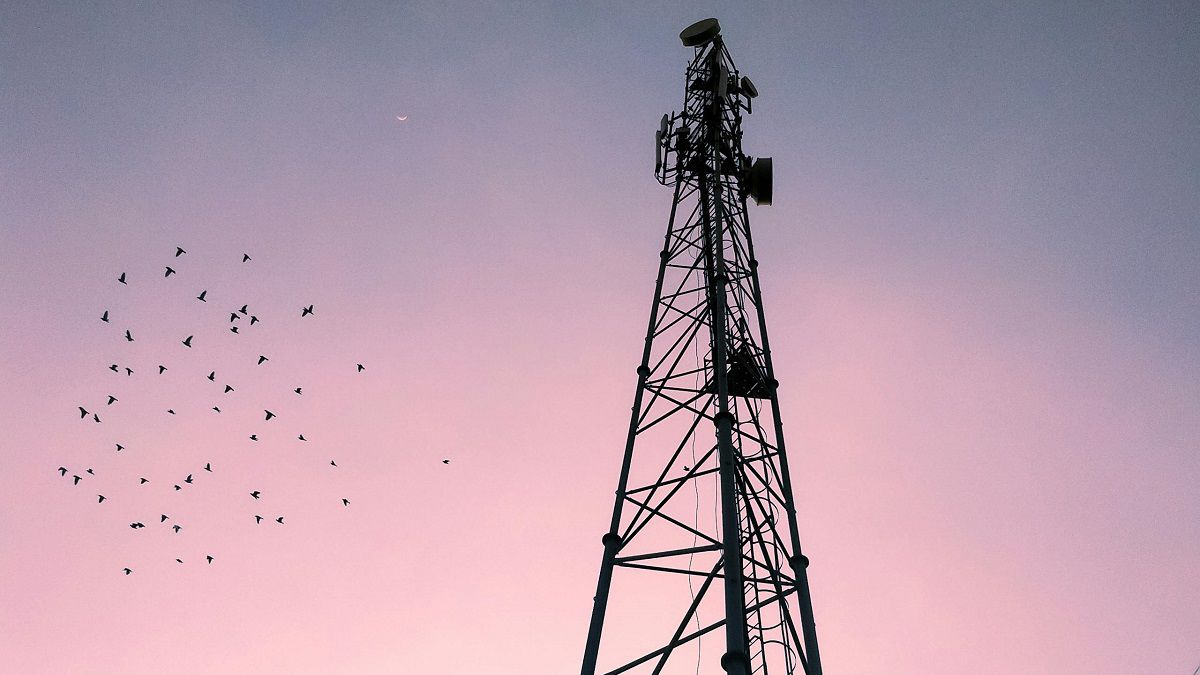 Telecomunicações latino-americanas, 1T2025