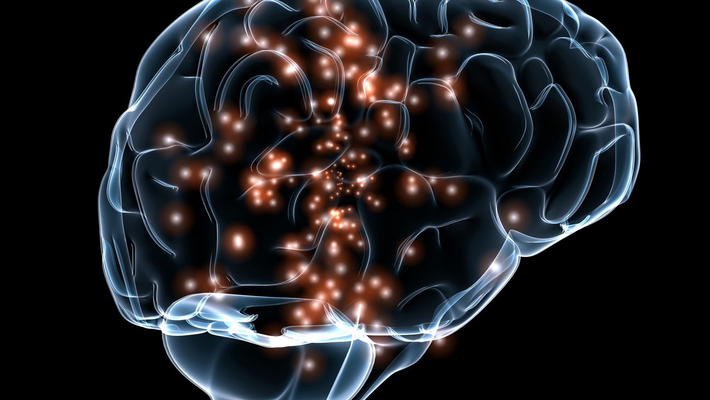 Atividade Cerebral Pode Indicar Nível De Inteligência Do Indivíduo Canaltech 0041