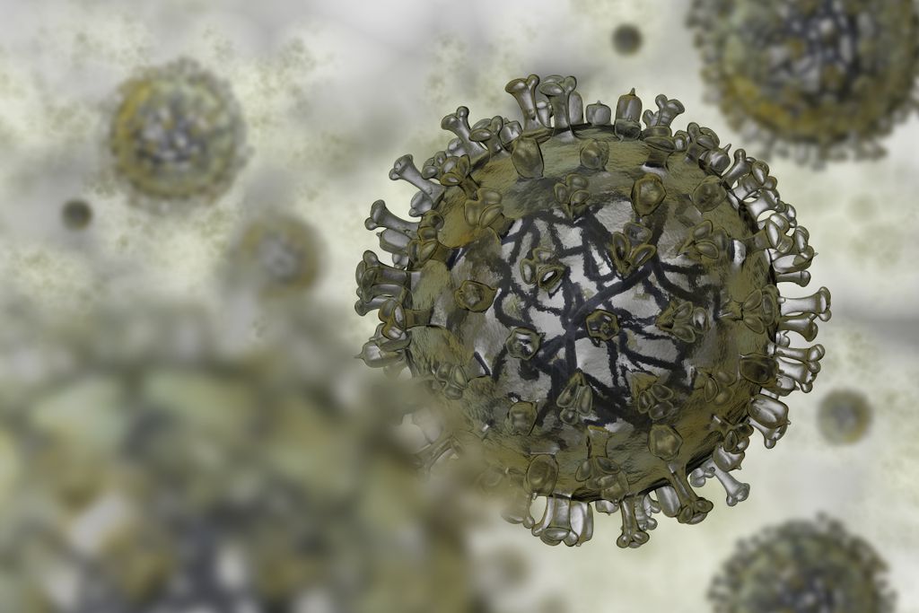 A gripe aviária H5N1 pode virar um risco eminente para os humanos e as outras espécies de mamíferos (Imagem: iLexx/envato)