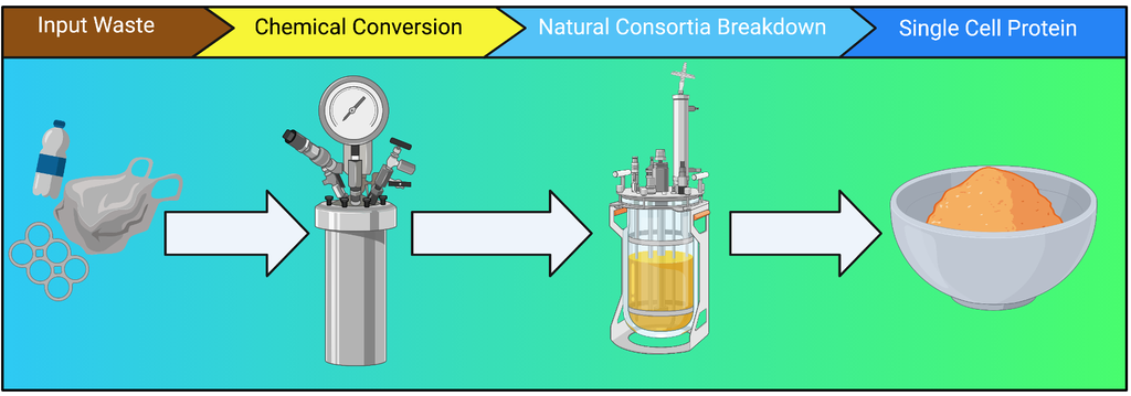 Esquema de conversão do plástico em proteína comestível (Imagem: Reprodução/MTU)