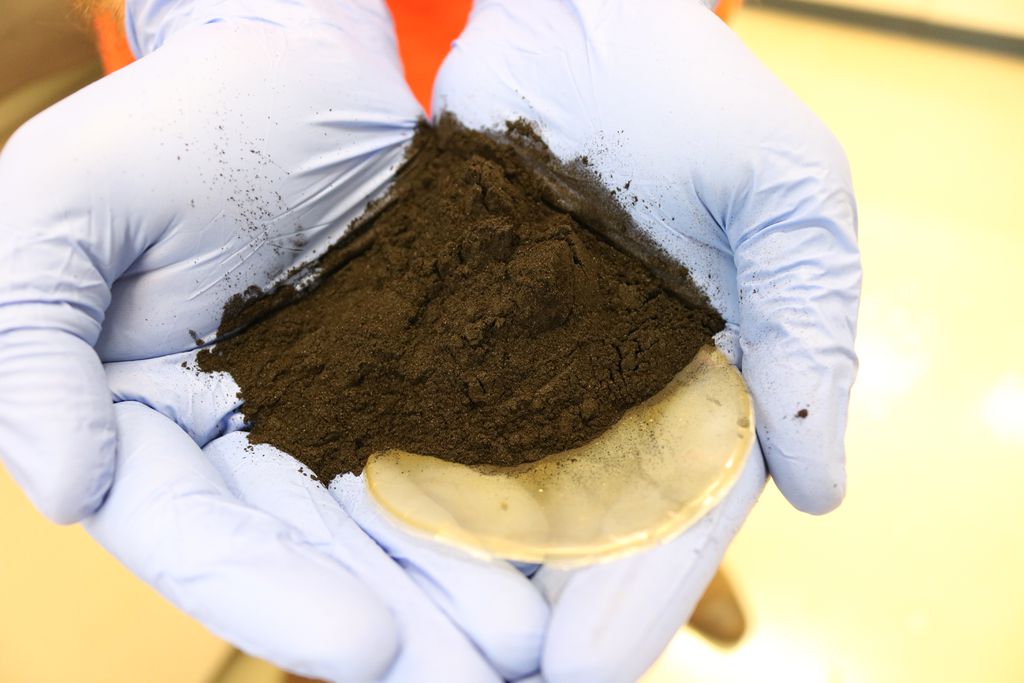 Biocarvão aplicado no solo pode acelerar degradação de plástico (Foto: Divulgação / CNPEM)