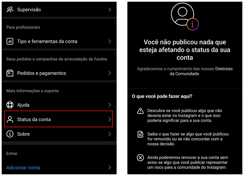 Veja se há algum problema com sua conta na tela de status (Imagem: Captura de tela/André Magalhães/Canaltech)