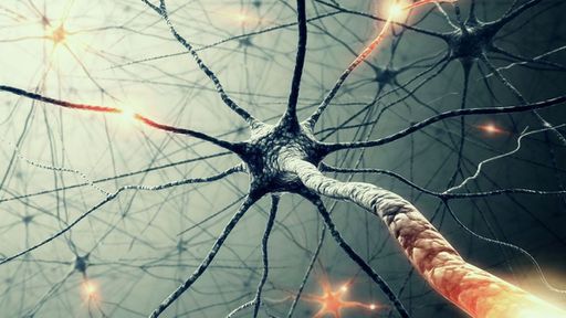 Cientistas desenvolvem rede neural artificial a partir de DNA