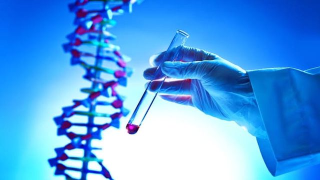 Custo real: analisar o próprio DNA online é seguro ou roubada? 