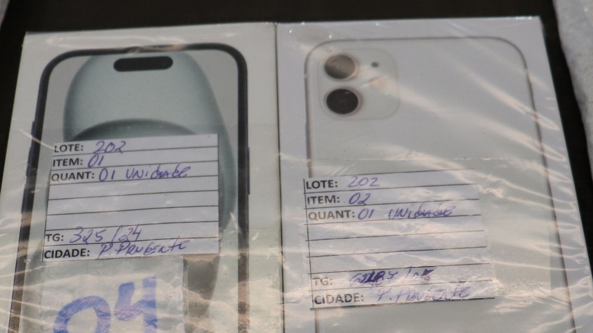 Imagem ilustrativa de Receita Federal Realiza Novo Leilão de Produtos Apreendidos com Lotes Diversificados