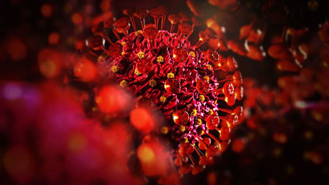 Em testes de laboratório, pesquisadores brasileiros identificam que o novo coronavírus pode afetar neurônios humanos (Foto:Matthias Friel/Adobe Stock)
